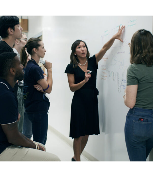 A professor gives a presentation to students.